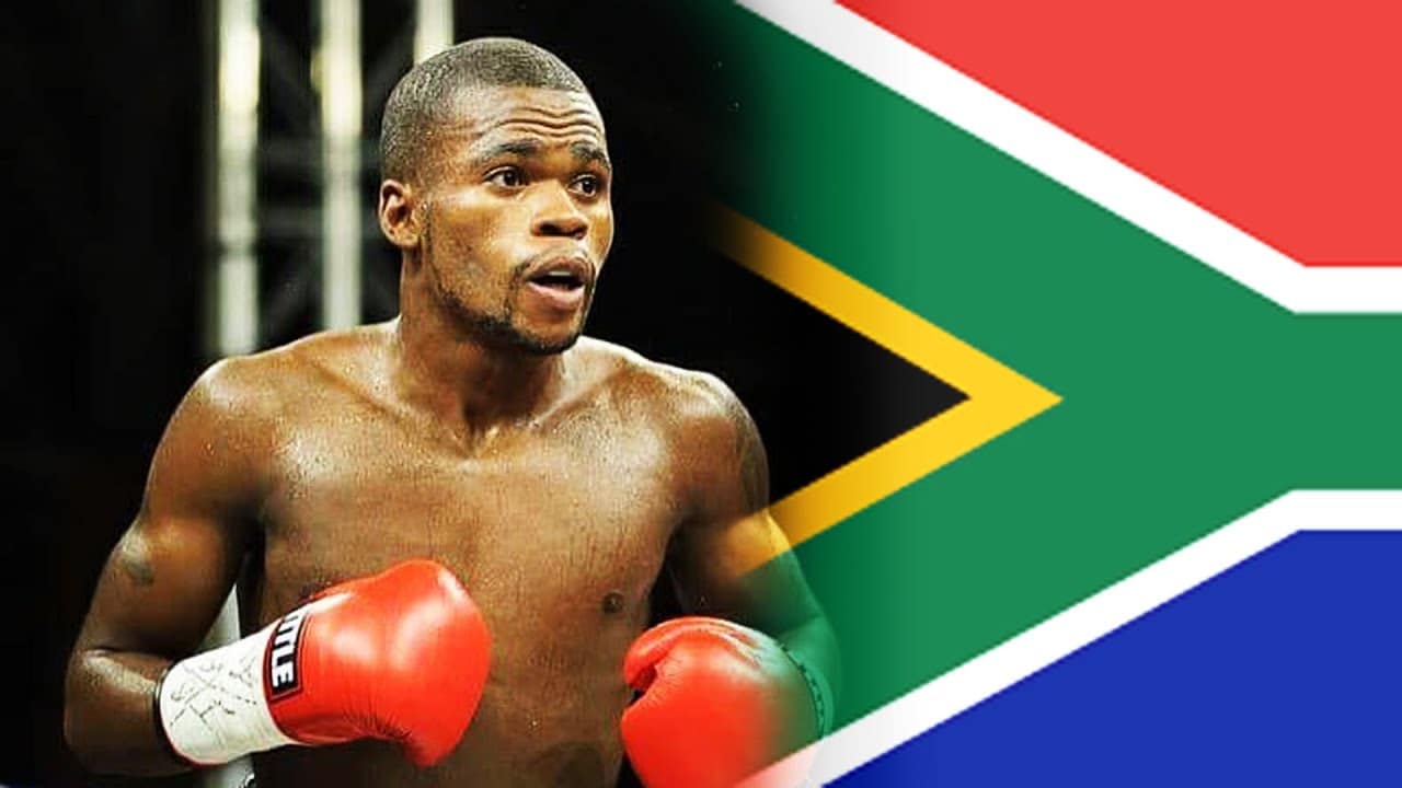 South African Boxers