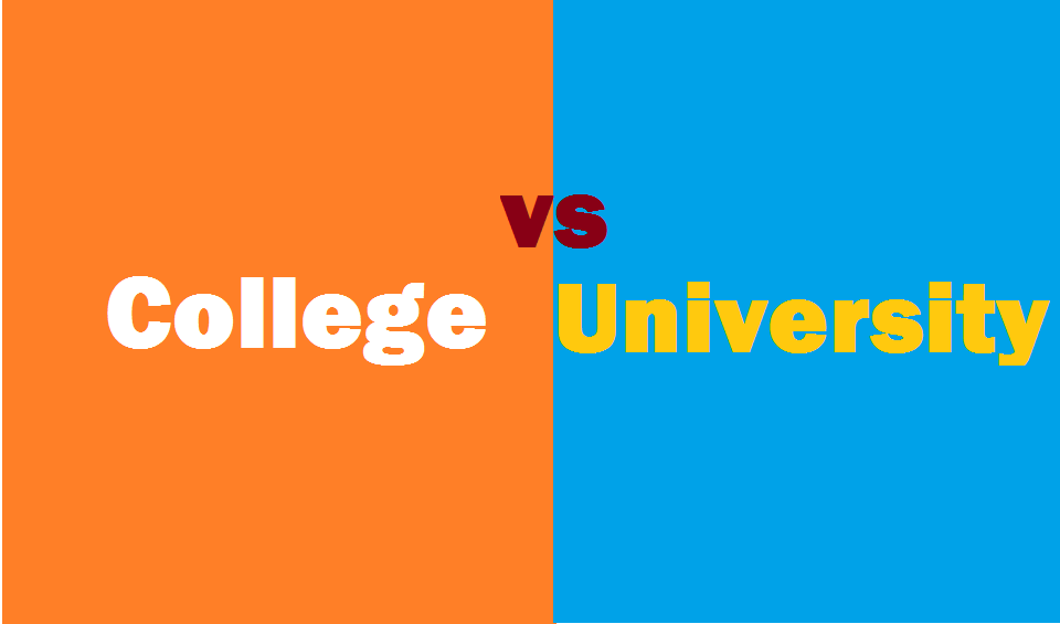 Difference Between College and University