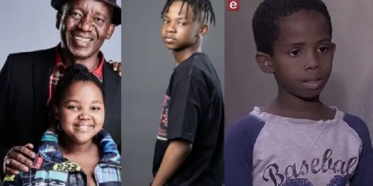 List of most paid child actors in South Africa
