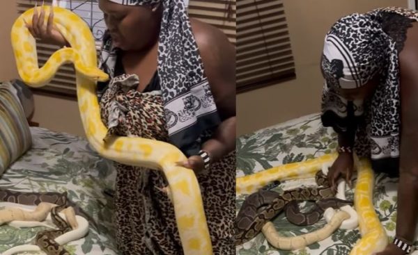Gogo Maweni spends quality time with her snakes (Video)